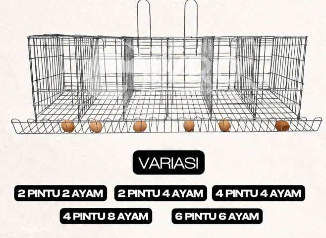 Kandang Kawat Besi Ayam Petelur