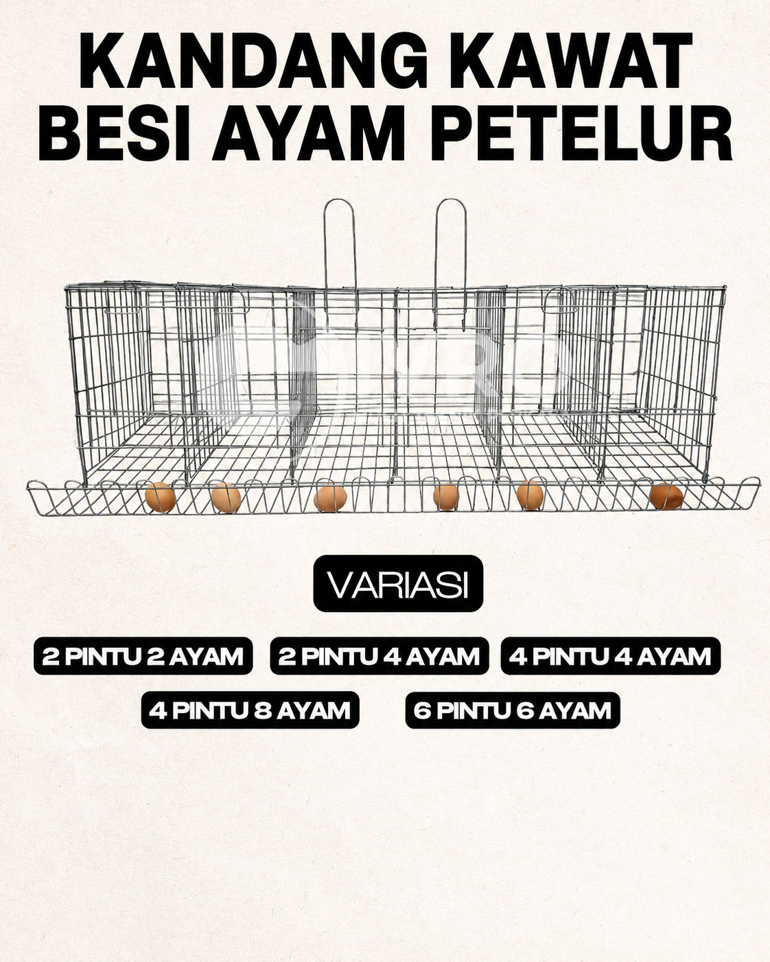 Kandang Kawat Besi Ayam Petelur